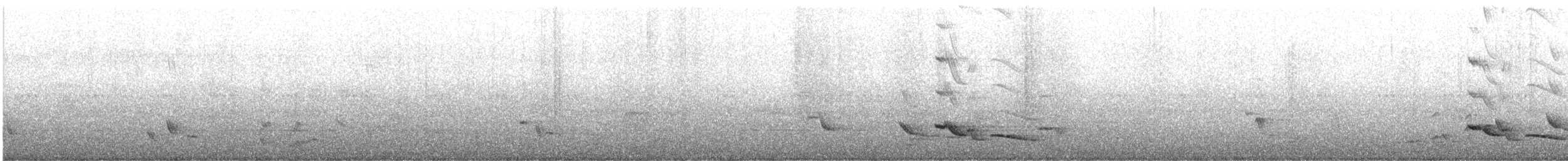 Red-winged Starling - ML635869523