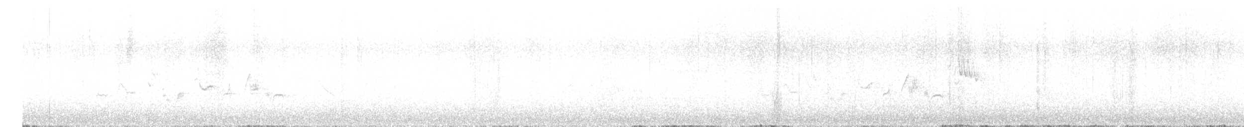 Warbling Vireo - ML635871425