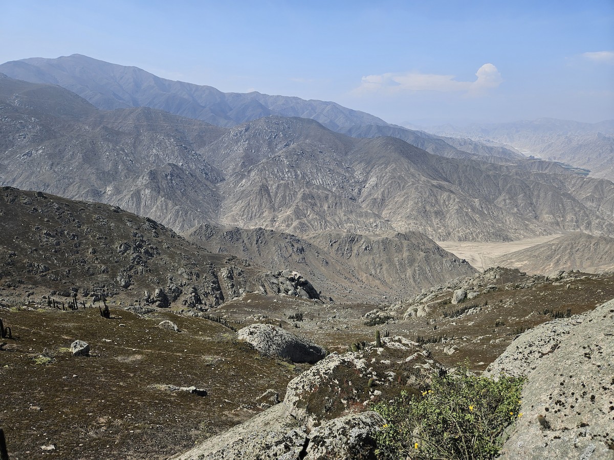 null - ML635873576