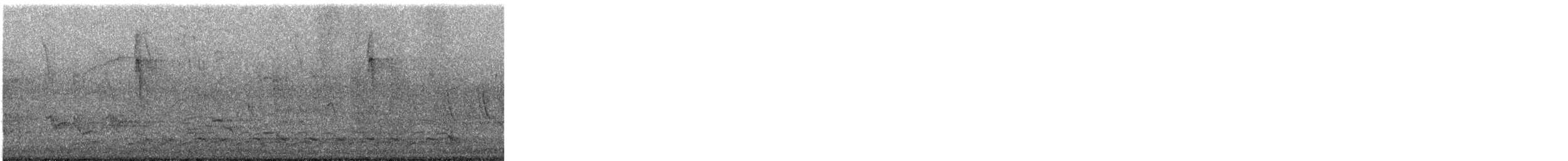 緋紅金剛鸚鵡 - ML635875828