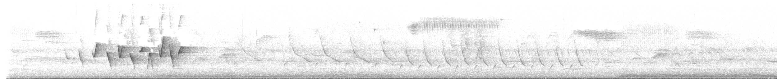 Connecticut Warbler - ML635876745