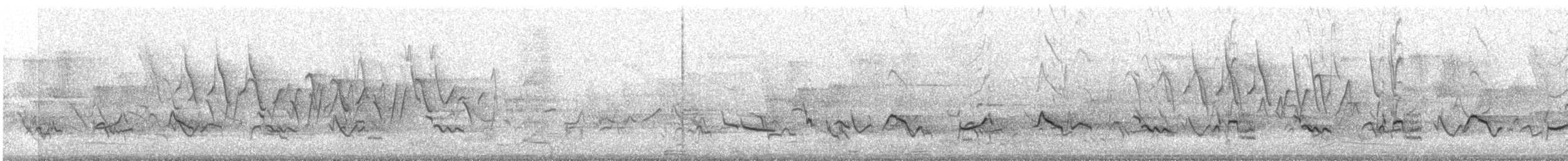 American Robin - ML635878269