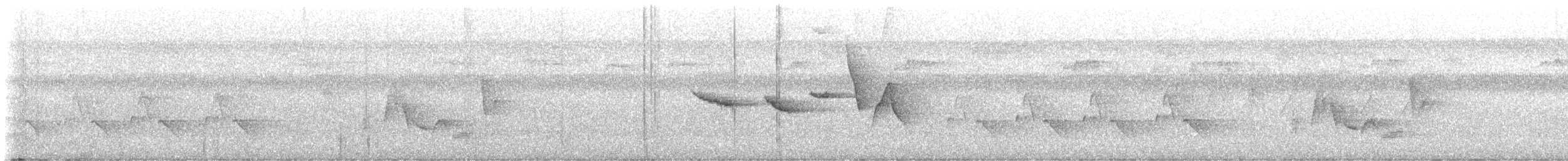 Swainson's Warbler - ML635878644