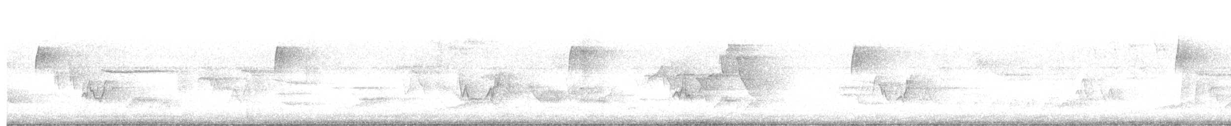 Connecticut Warbler - ML635878845