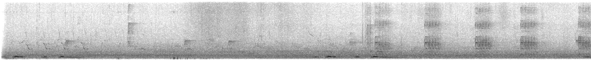White-winged Dove - ML635881834