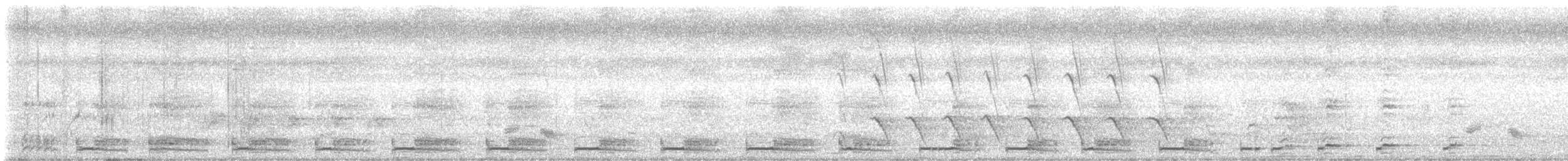 White-breasted Waterhen - ML635882329