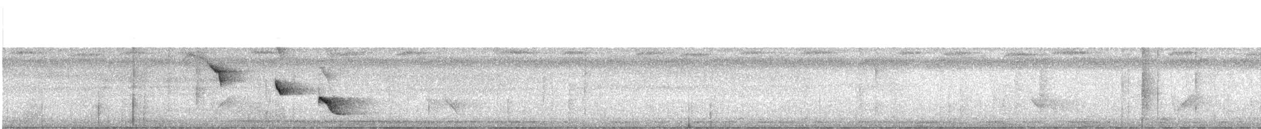 Gray Antbird - ML635882792