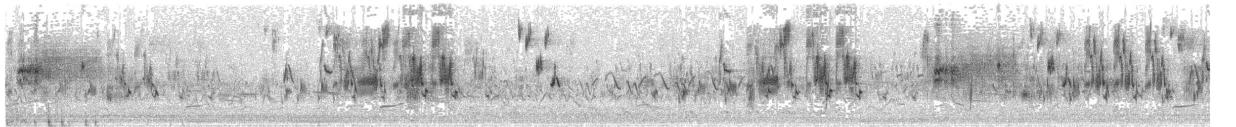 Nelson's Sparrow - ML635882879