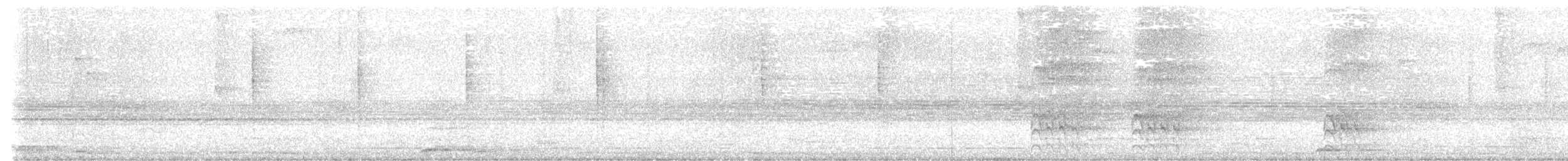 キンイタダキアメリカムシクイ（culicivorus グループ） - ML635886452