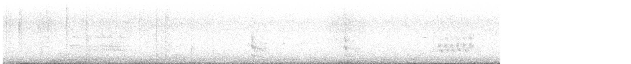 Forster's Tern - ML635888648