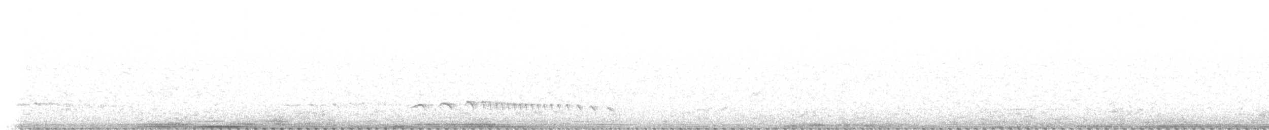 Brown Tinamou - ML635891841