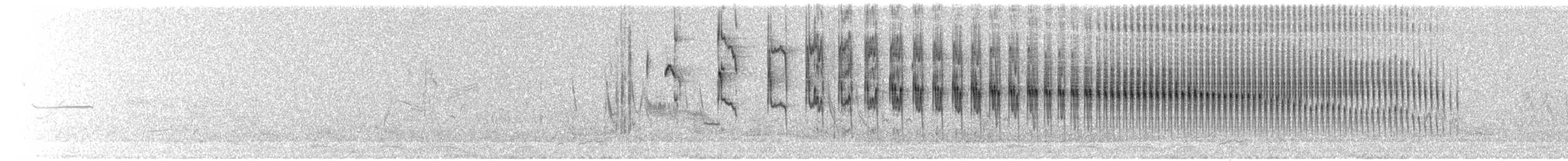 Short-billed Canastero - ML635892057