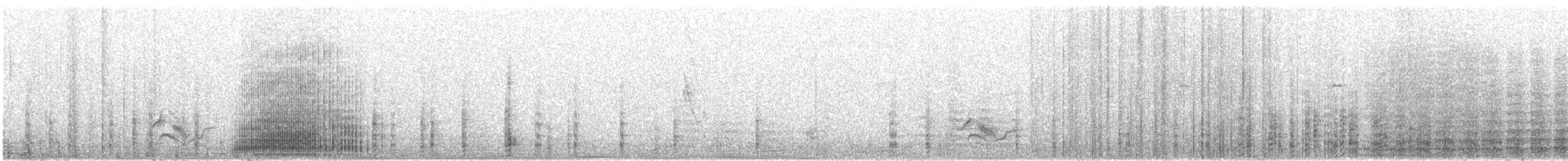 Rotfußtölpel - ML635893362