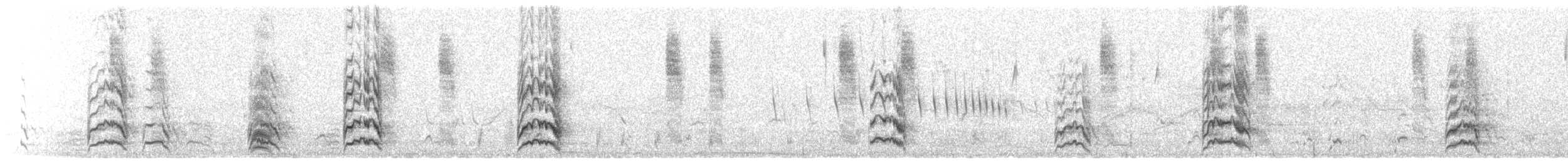 Burrowing Parakeet - ML635893581