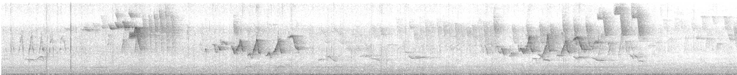 Magnolia Warbler - ML635894301