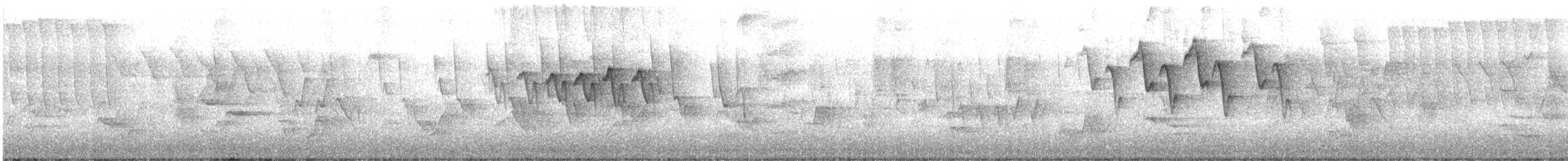 Wilson's Warbler - ML635894359
