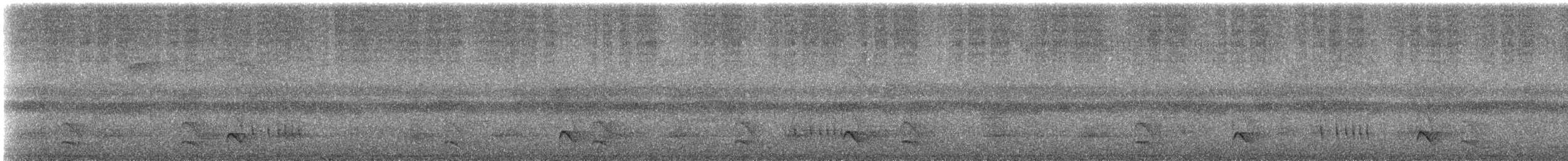 Plain Antvireo - ML635897735