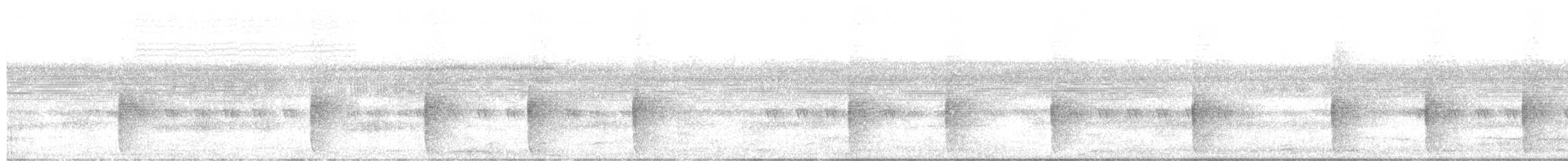 Dusky Long-tailed Cuckoo - ML635898030