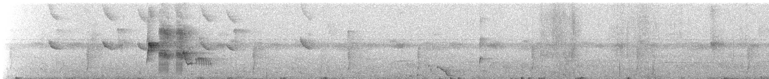 Round-tailed Manakin - ML635898539