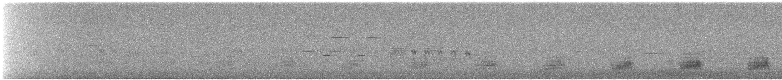 Stockente - ML635898593