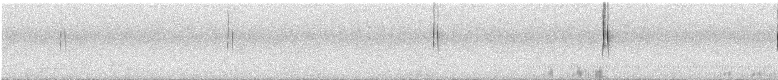 Oilagorra - ML635899127