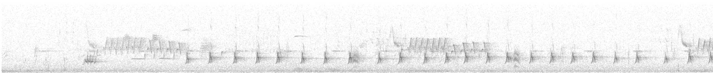 シロハラオオヒタキモドキ - ML635902145