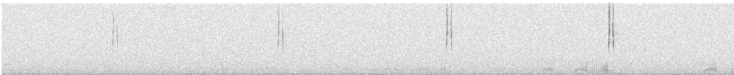 Oilagorra - ML635902992