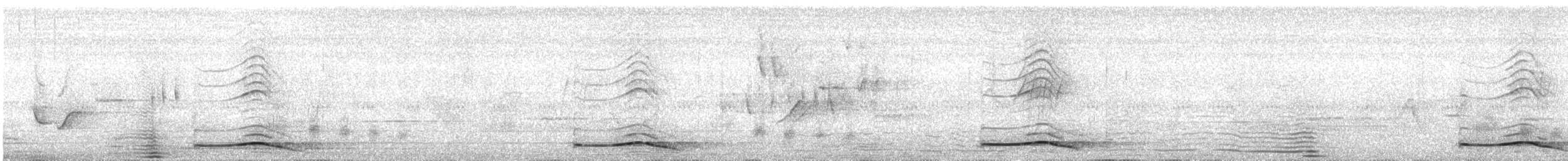 Asian Koel - ML635905892