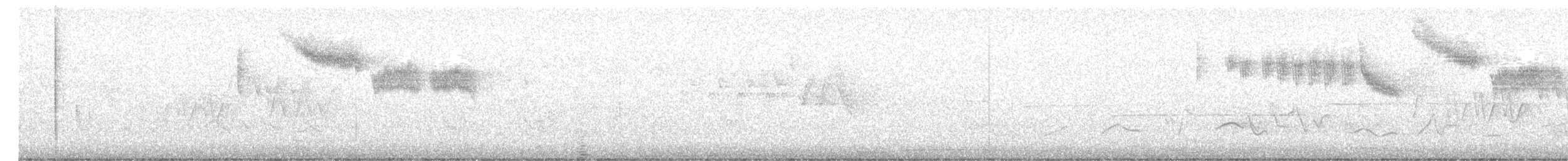 Brewster's Warbler (hybrid) - ML635909100