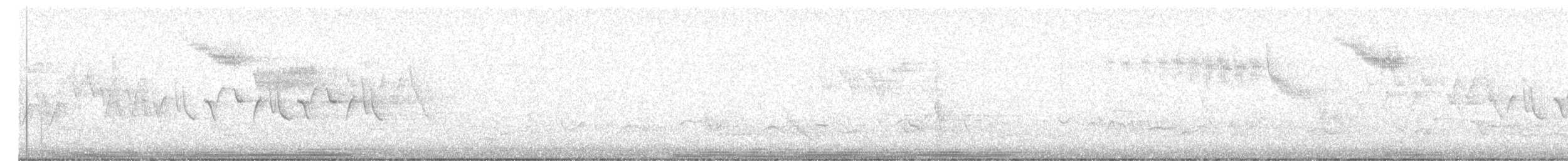 Brewster's Warbler (hybrid) - ML635909101
