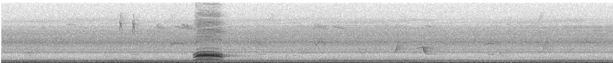 Channel-billed Cuckoo - ML635909222