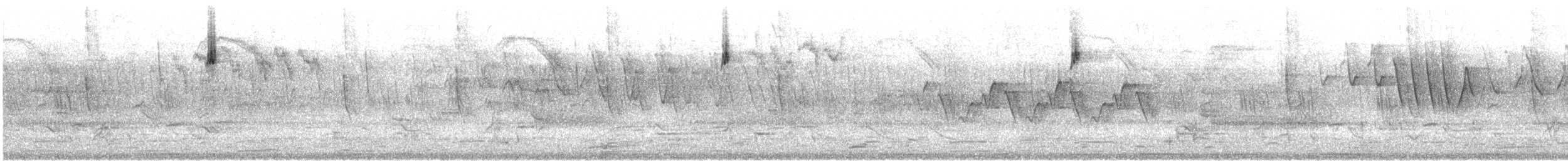 Bay-breasted Warbler - ML635911638