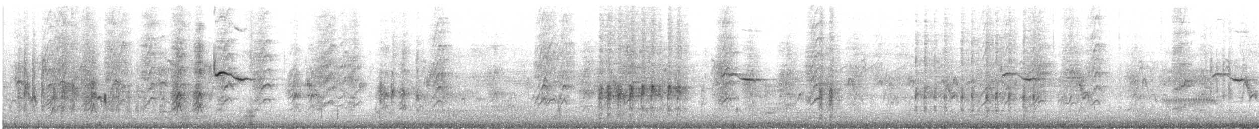 Trauerkönigstyrann - ML635912920