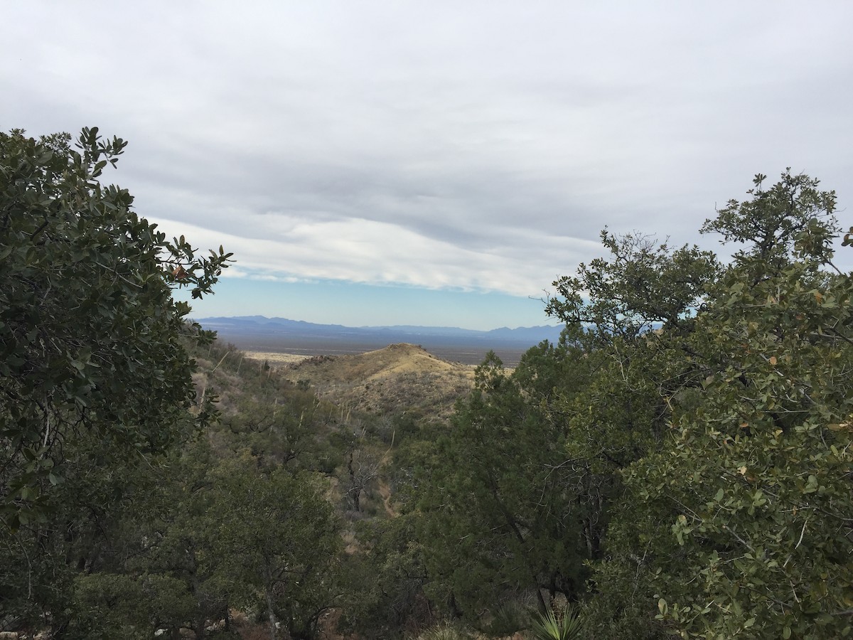 null - ML635913463