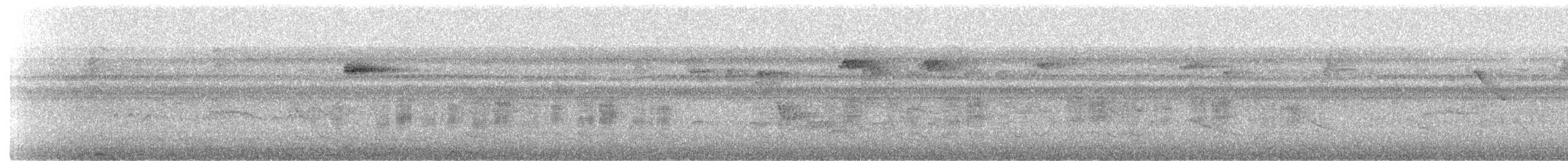 Masked Tityra - ML635914154
