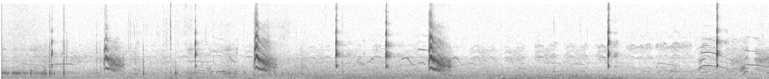 Forster's Tern - ML635916187