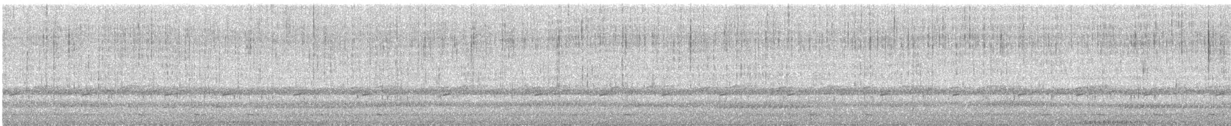 Sägekauz - ML635917660