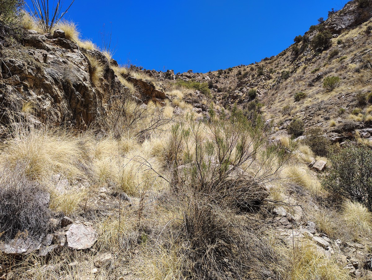 null - ML635917959
