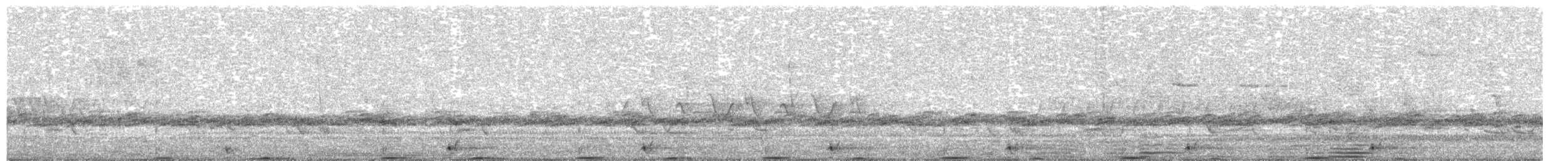 Txori zezen amerikarra - ML635918055