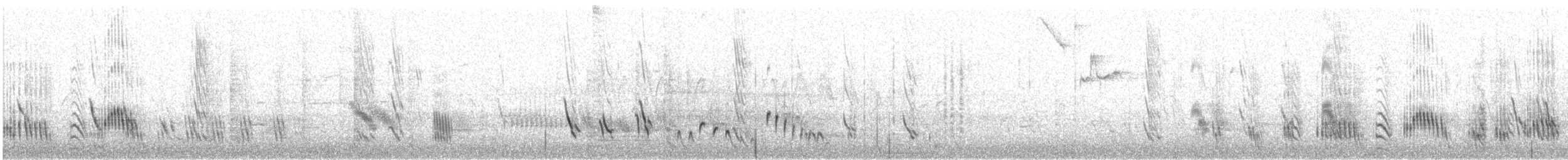 jiřička modrolesklá - ML635919540