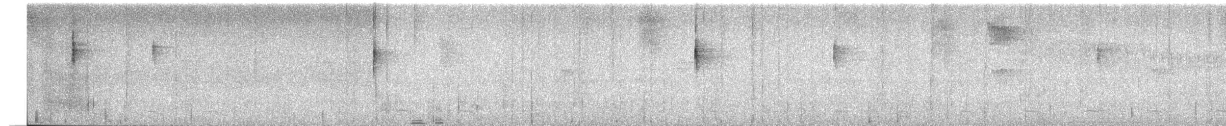 stripehodeparula - ML635923214