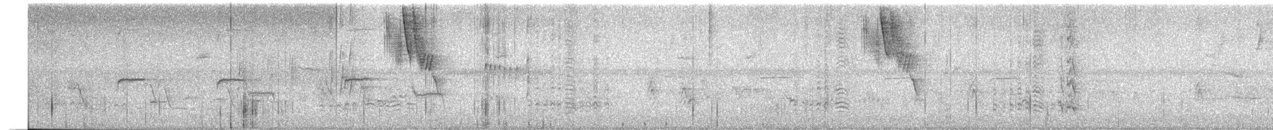 Pione noire - ML635923941
