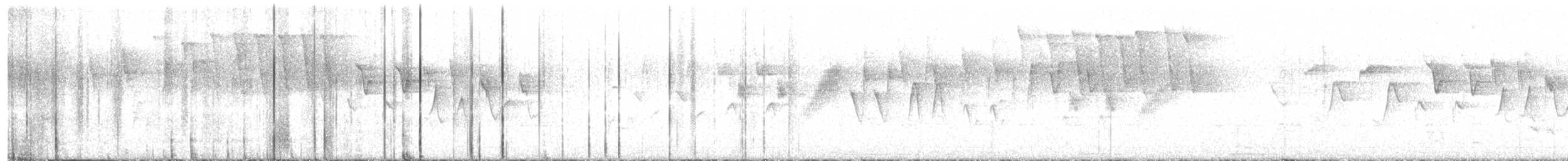 Tennessee Warbler - ML635925275