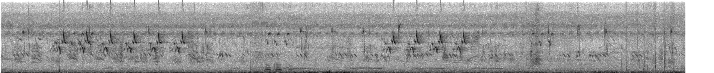 Black-breasted Weaver - ML635927285