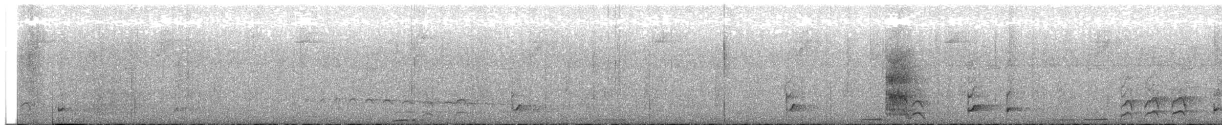 Short-tailed Nighthawk - ML635938774