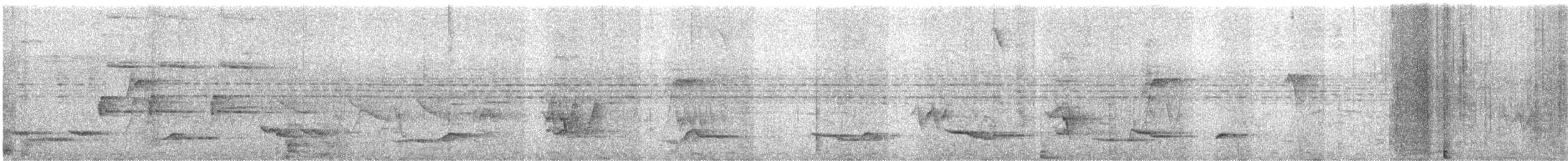 brasilskifertrost - ML635941010