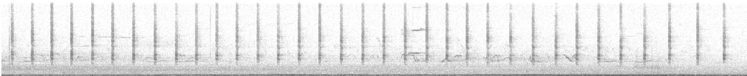 ヒガシオニクイナ（crepitans／waynei） - ML635941386