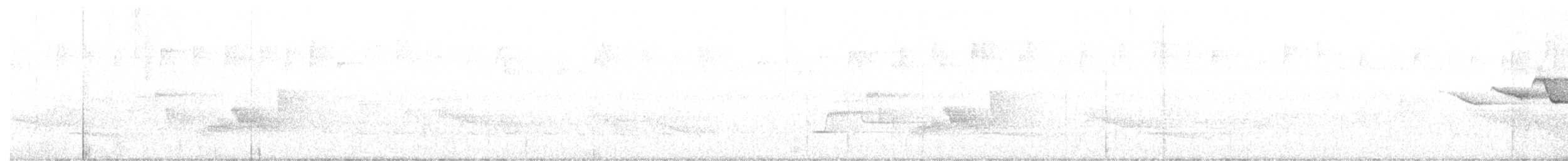 Swainson's Warbler - ML635941525