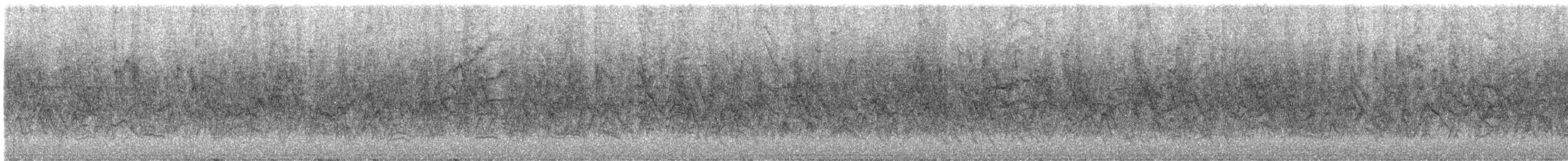 stripesisik - ML635943741