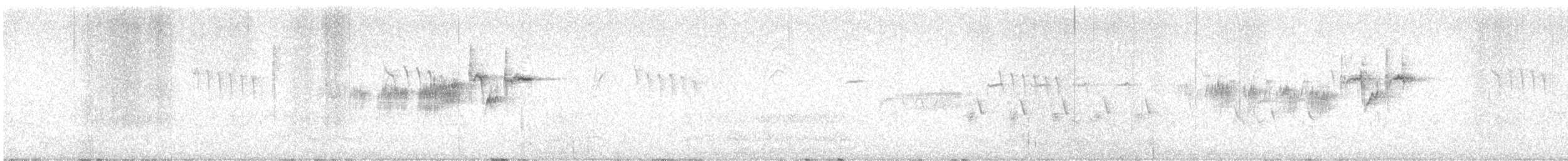 Townsend's Warbler - ML635946122